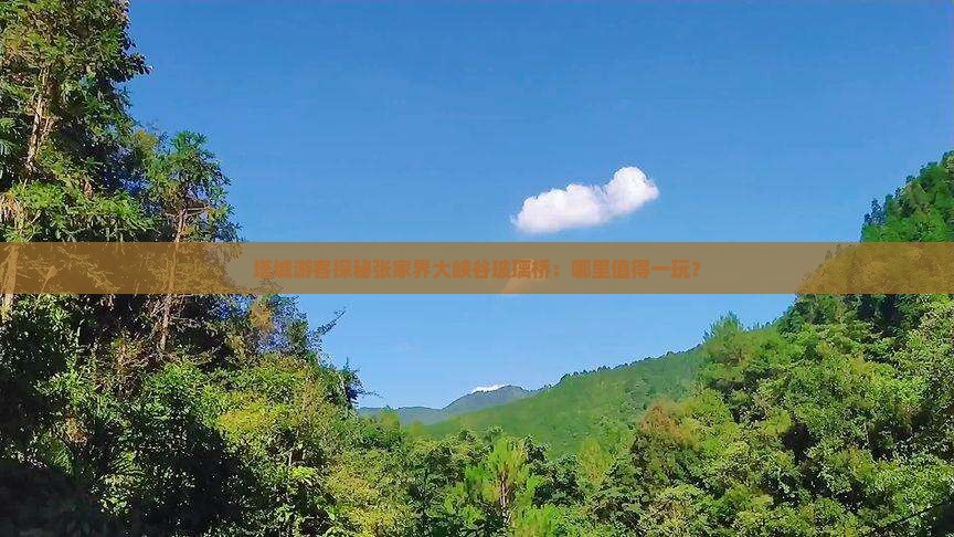 塔城游客探秘张家界大峡谷玻璃桥：哪里值得一玩？