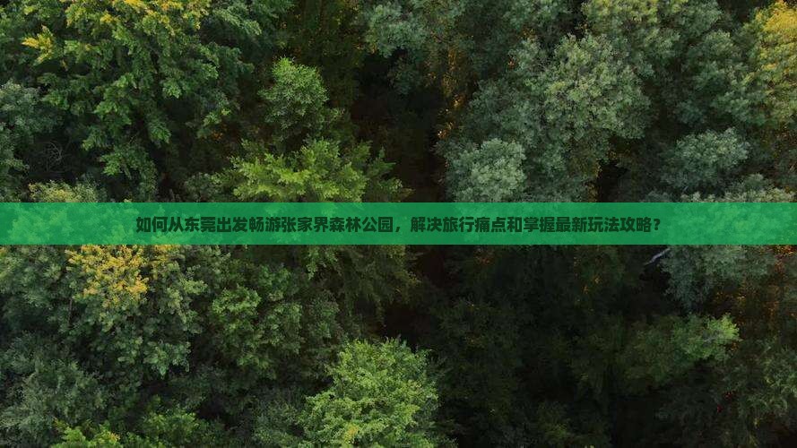 如何从东莞出发畅游张家界森林公园，解决旅行痛点和掌握最新玩法攻略？