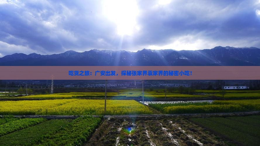 吃货之旅：广安出发，探秘张家界袁家界的秘密小吃！