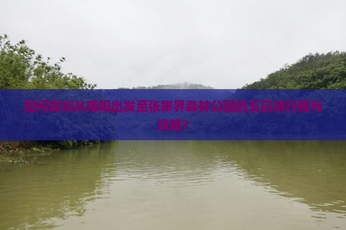 如何规划从南阳出发至张家界森林公园的五日游行程与攻略？