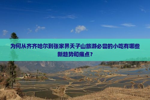 为何从齐齐哈尔到张家界天子山旅游必尝的小吃有哪些新趋势和痛点？