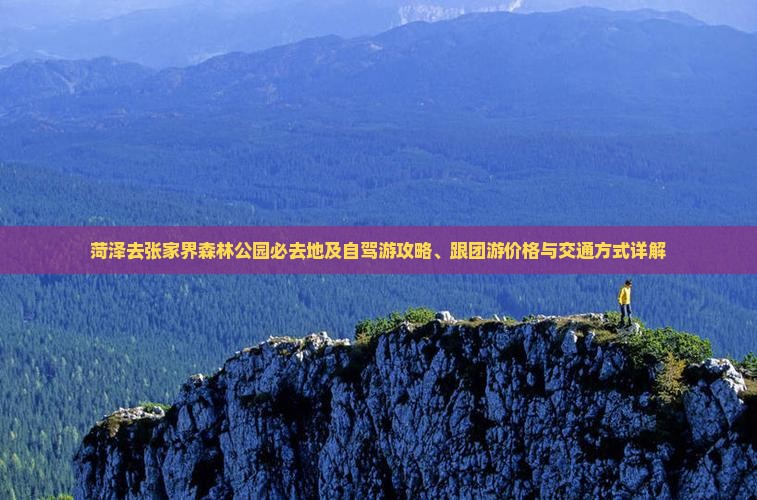 菏泽去张家界森林公园必去地及自驾游攻略、跟团游价格与交通方式详解