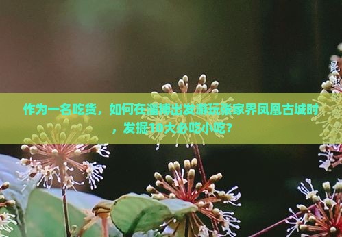 作为一名吃货，如何在淄博出发游玩张家界凤凰古城时，发掘10大必吃小吃？