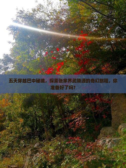 五天穿越巴中秘境，探索张家界武陵源的奇幻旅程，你准备好了吗？
