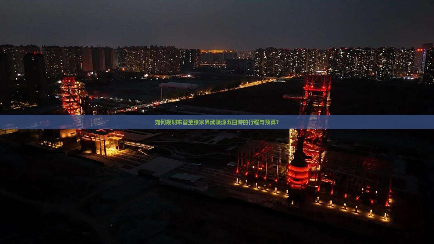 如何规划东营至张家界武陵源五日游的行程与预算？
