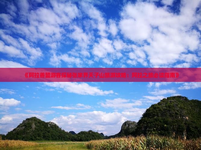 《阿拉善盟游客探秘张家界天子山旅游攻略：阿拉之旅必读指南》