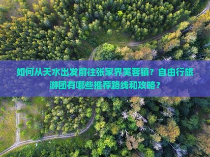 如何从天水出发前往张家界芙蓉镇？自由行旅游团有哪些推荐路线和攻略？