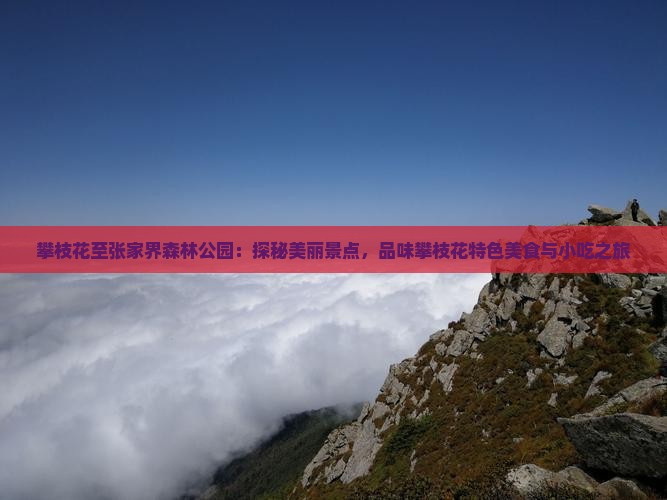 攀枝花至张家界森林公园：探秘美丽景点，品味攀枝花特色美食与小吃之旅