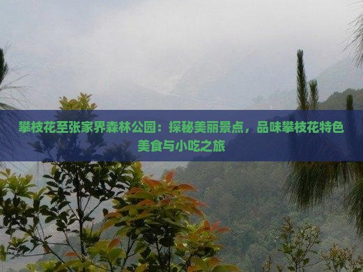 攀枝花至张家界森林公园：探秘美丽景点，品味攀枝花特色美食与小吃之旅