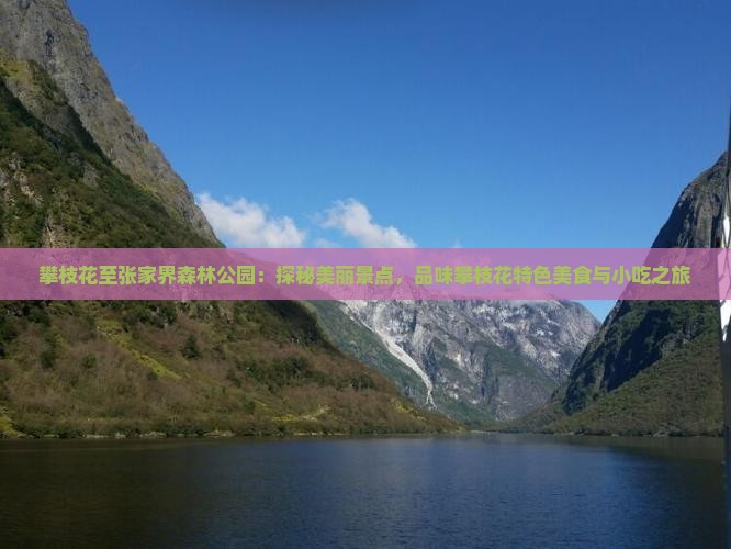 攀枝花至张家界森林公园：探秘美丽景点，品味攀枝花特色美食与小吃之旅