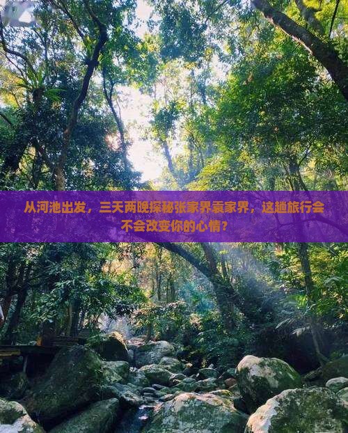 从河池出发，三天两晚探秘张家界袁家界，这趟旅行会不会改变你的心情？