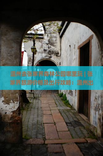 温州去张家界森林公园哪里玩 | 张家界旅游价格及出行攻略：温州出发交通方式与自驾游时长指南