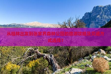 从桂林出发到张家界森林公园的旅游攻略及交通方式选择？