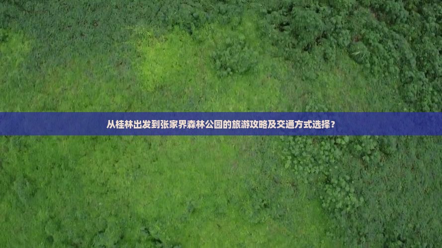 从桂林出发到张家界森林公园的旅游攻略及交通方式选择？