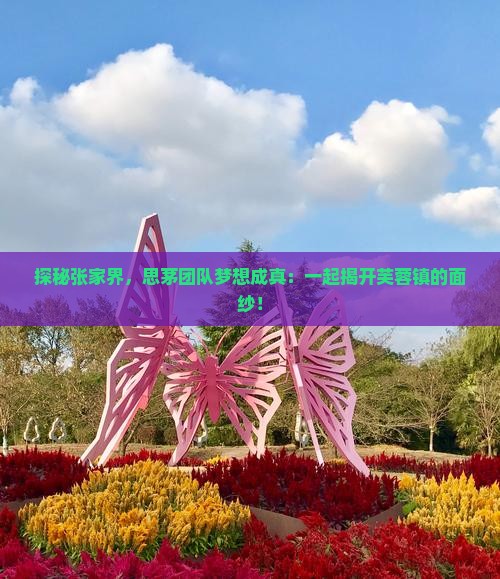 探秘张家界，思茅团队梦想成真：一起揭开芙蓉镇的面纱！