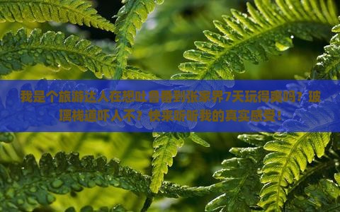 我是个旅游达人在想吐鲁番到张家界7天玩得爽吗？玻璃栈道吓人不？快来听听我的真实感受！