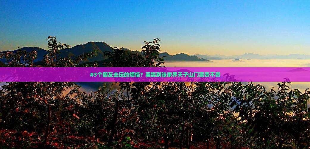#3个朋友去玩的烦恼？襄樊到张家界天子山门票贵不贵