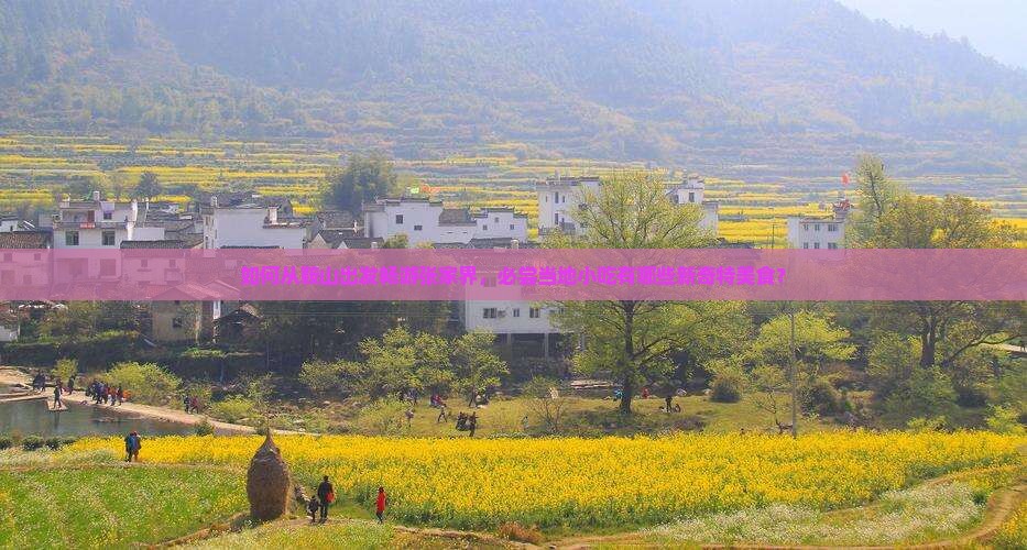 如何从鞍山出发畅游张家界，必尝当地小吃有哪些新奇特美食？