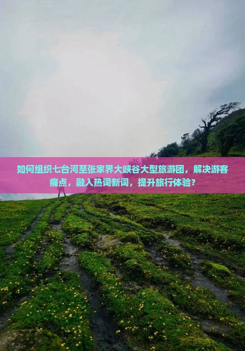 如何组织七台河至张家界大峡谷大型旅游团，解决游客痛点，融入热词新词，提升旅行体验？