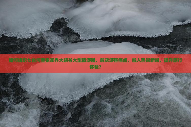 如何组织七台河至张家界大峡谷大型旅游团，解决游客痛点，融入热词新词，提升旅行体验？