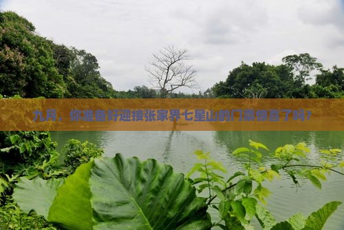 九月，你准备好迎接张家界七星山的门票惊喜了吗？