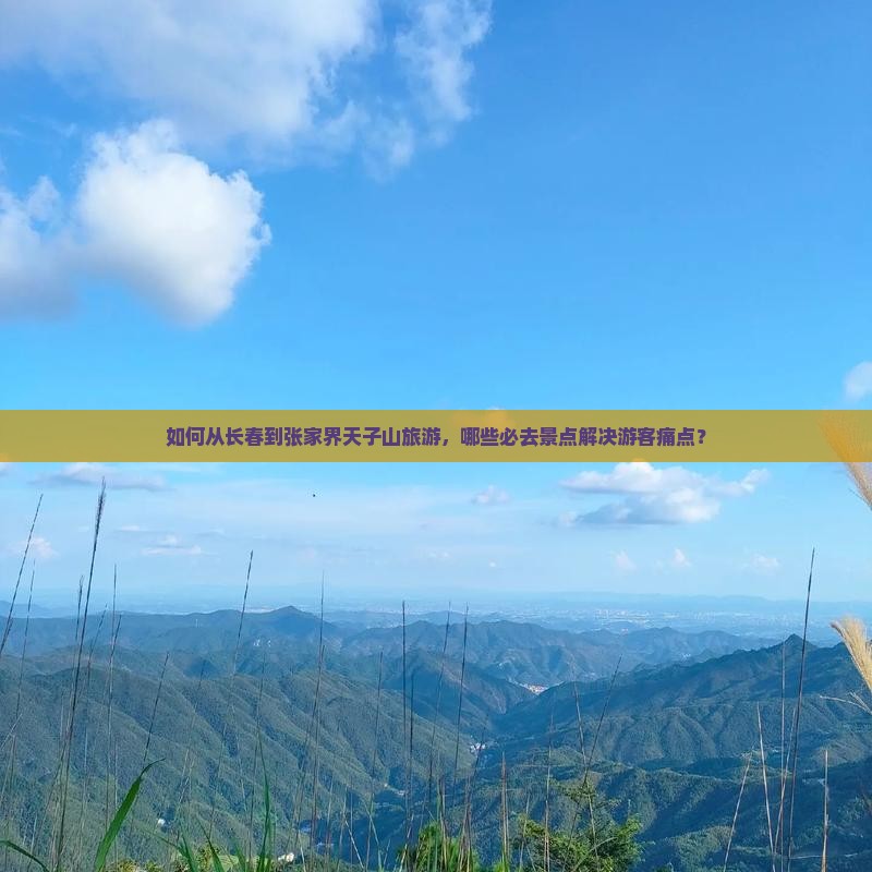 如何从长春到张家界天子山旅游，哪些必去景点解决游客痛点？