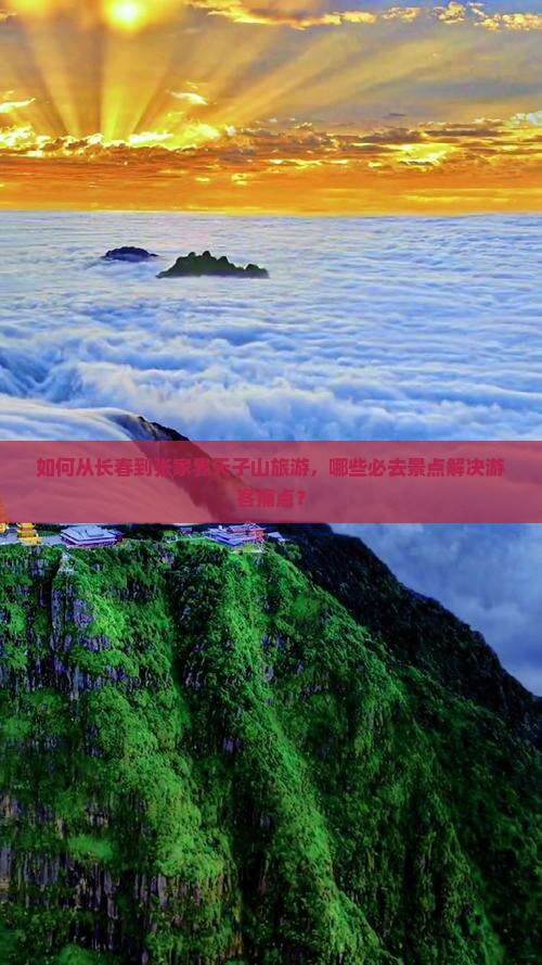 如何从长春到张家界天子山旅游，哪些必去景点解决游客痛点？
