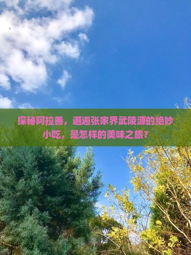 探秘阿拉善，邂逅张家界武陵源的绝妙小吃，是怎样的美味之旅？
