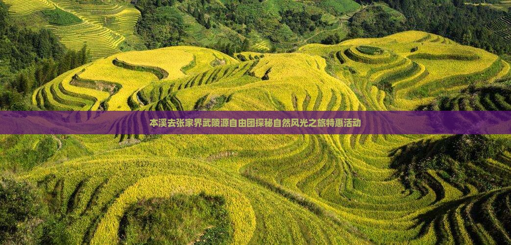 本溪去张家界武陵源自由团探秘自然风光之旅特惠活动