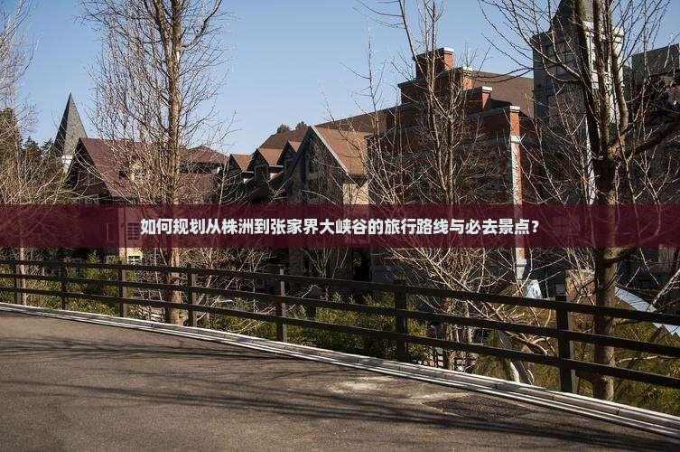 如何规划从株洲到张家界大峡谷的旅行路线与必去景点？