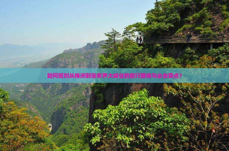 如何规划从株洲到张家界大峡谷的旅行路线与必去景点？
