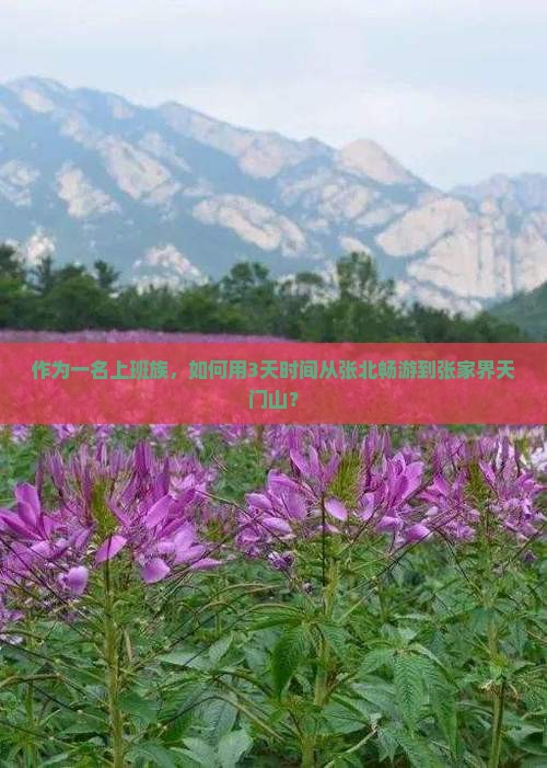 作为一名上班族，如何用3天时间从张北畅游到张家界天门山？