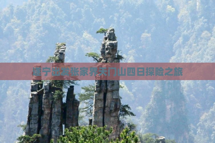 遂宁出发张家界天门山四日探险之旅
