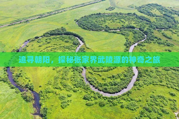 追寻朝阳，探秘张家界武陵源的神奇之旅