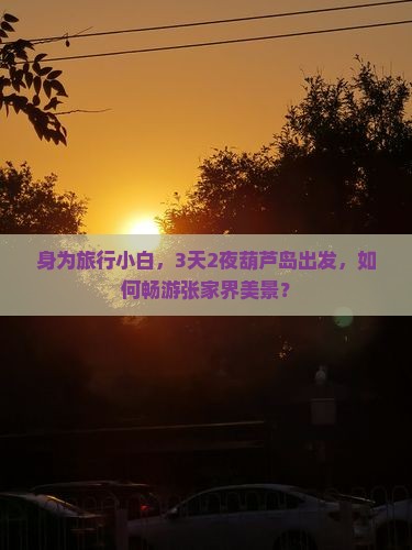 身为旅行小白，3天2夜葫芦岛出发，如何畅游张家界美景？