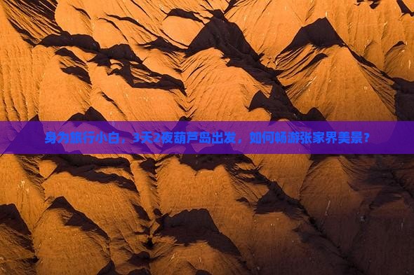 身为旅行小白，3天2夜葫芦岛出发，如何畅游张家界美景？