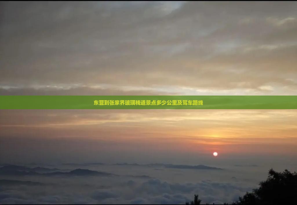 东营到张家界玻璃栈道景点多少公里及驾车路线