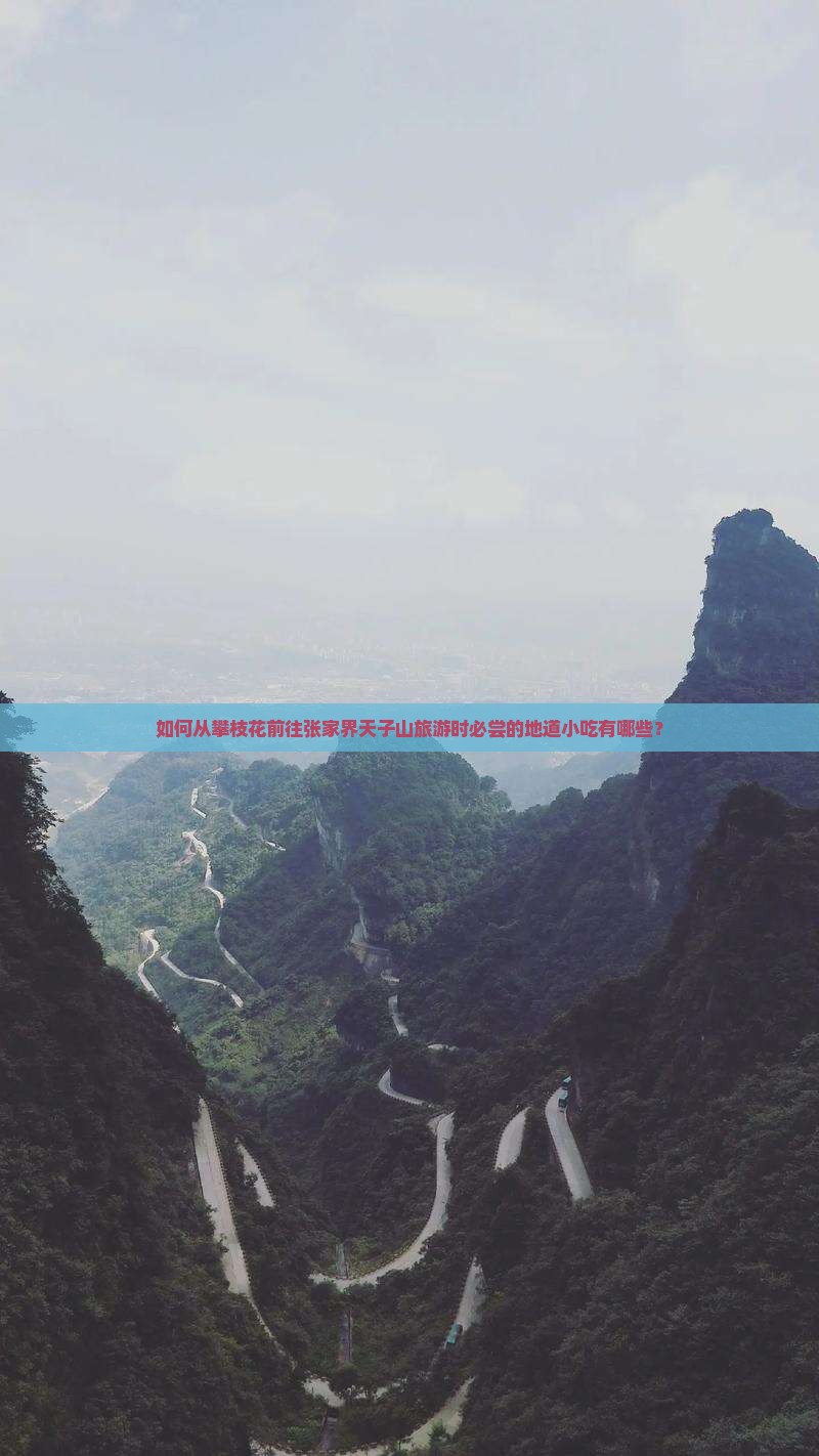 如何从攀枝花前往张家界天子山旅游时必尝的地道小吃有哪些？