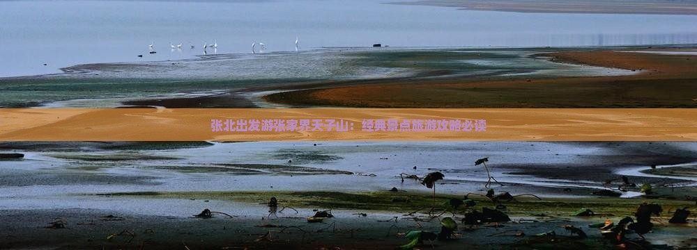 张北出发游张家界天子山：经典景点旅游攻略必读