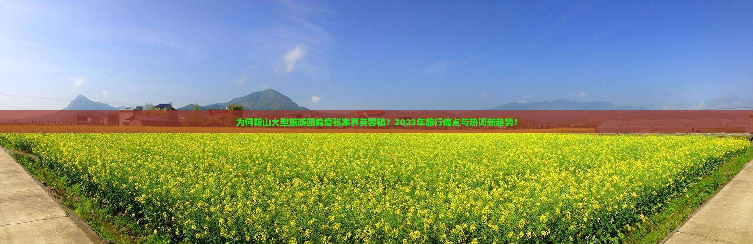 为何鞍山大型旅游团偏爱张家界芙蓉镇？2023年旅行痛点与热词新趋势！