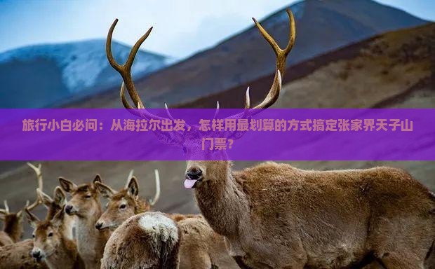 旅行小白必问：从海拉尔出发，怎样用最划算的方式搞定张家界天子山门票？