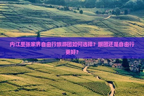 内江至张家界自由行旅游团如何选择？跟团还是自由行更好？