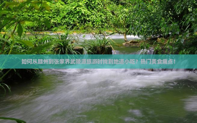 如何从赣州到张家界武陵源旅游时找到地道小吃？热门美食痛点！