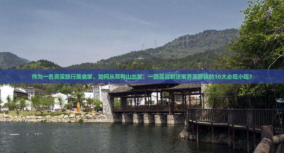 作为一名资深旅行美食家，如何从双鸭山出发，一路品尝到张家界芙蓉镇的10大必吃小吃？