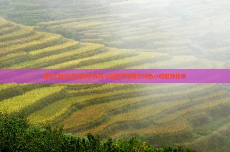 张家口出发至张家界森林公园旅游攻略及特色小吃推荐指南