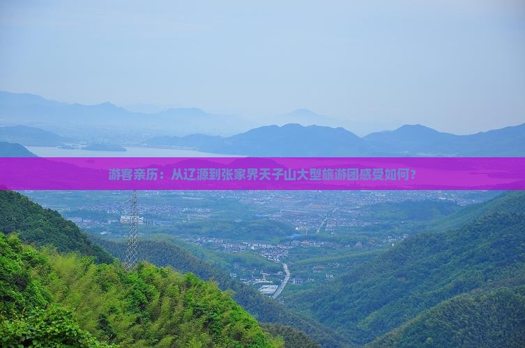 游客亲历：从辽源到张家界天子山大型旅游团感受如何？