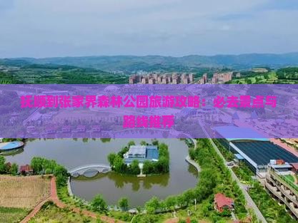 抚顺到张家界森林公园旅游攻略：必去景点与路线推荐
