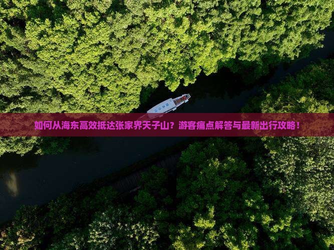 如何从海东高效抵达张家界天子山？游客痛点解答与最新出行攻略！