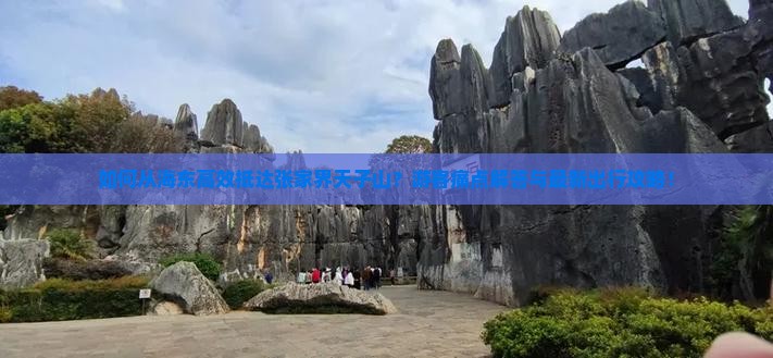 如何从海东高效抵达张家界天子山？游客痛点解答与最新出行攻略！