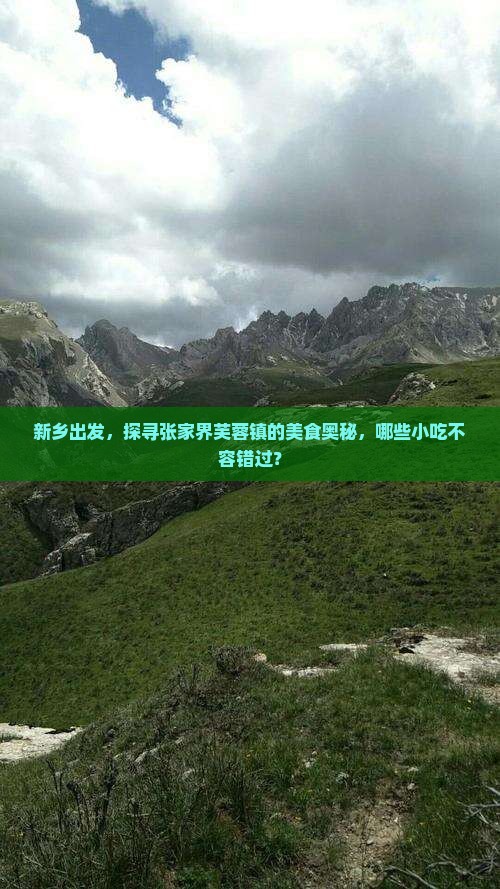 新乡出发，探寻张家界芙蓉镇的美食奥秘，哪些小吃不容错过？